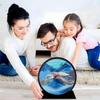 rysnwsu Moving Sand Art Picture w/Mirror, 3D Dynamic Sand Art Liquid Motion Sandscapes, Large Desktop Art, Home & Office Relaxing Desktop Decor (Blue-Turtle, 7'') view 4