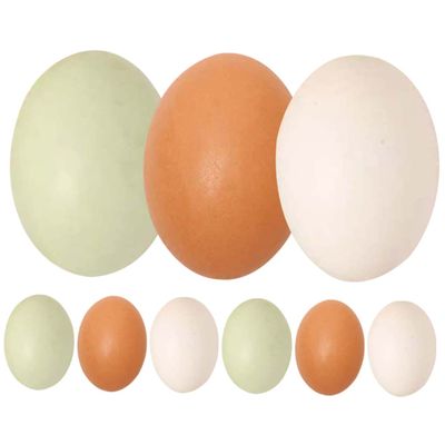 BESTonZON 9pcs Fake Wood Decorations for Easter Simulation Eggs for Crafts Unique Props for Boys and Girls Home Decor and Photography