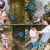 2 Pack Kids Telescopic Butterfly Fishing Nets for Kids Catching Butterfly Net Outdoor Tools for Catching Fish Ladybird, Extendable 34 Inches and Anti Slip Grip view 3