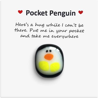 A Little Pocket Penguin Hug,Mini Cute Pocket Penguin Hug Animal Decoration Special Encourage Birthday Wedding Party Valentines Penguin Gift Decoration Animals Toys(Here's a Hug)