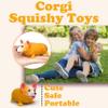 ZTATU Corgi Stretchy Toys (1PCS) Stress Balls for Kids and Adults Squishy Fidget Toys, Stress Ball Stress Relief Toy, Squeeze Ball Party Favors for Kids Autism Sensory Toys for Autistic Children view 4