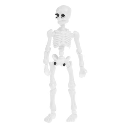 Lily Brown Movable Mr. Skeleton Human Model Skull Full Body Figure Toy Halloween Toy Box Storage