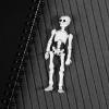 Lily Brown Movable Mr. Skeleton Human Model Skull Full Body Figure Toy Halloween Toy Box Storage view 3