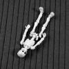 Lily Brown Movable Mr. Skeleton Human Model Skull Full Body Figure Toy Halloween Toy Box Storage view 4