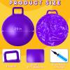 Lewtemi 3 Pcs 29 Inch Bouncing Ball with Handle, Outdoors Hopper Jumping Hopping Ball and Air Pump for Sports Exercise (Orange, Blue, Purple) view 2