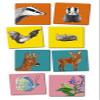 Oetinger, Memory from 3, forest, find the baby animals, Peter Wohlleben view 3