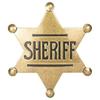 Finduat Metal Western Sheriff Badge for Party Favors Supplies, School Carnival Prizes, Party Bag Gift Fillers view 1