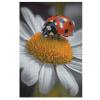 1000 PCS Jigsaw Puzzle for Adults Personalized Picture Puzzle Ladybug Daisy Customized Wooden Puzzle for Family, Birthday, Wedding, Game Nights Gifts view 1