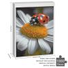 1000 PCS Jigsaw Puzzle for Adults Personalized Picture Puzzle Ladybug Daisy Customized Wooden Puzzle for Family, Birthday, Wedding, Game Nights Gifts view 3