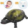 4 Pack 5 Inch Rubber Turtle Toys, Tortoise Sets for Children, Great Safety Material TPR Super Stretchy, Can Hide in Shell, Sea Ocean Animal Bathtub Bath Pool Toy Party Favors Boys Kids Collection view 3