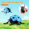 TOYANDONA 4pcs Wind Up Toys for Kids, Walking Bugs Toys Insect Wind Up Ladybug Clockwork for Boys Girls Novelty Birthday Party Favors Classroom Prizes view 3