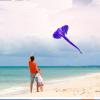 WAOCEO Kites Soft Elephant Kite Professional Soft Skeleton Free Kite Adult Large Kite Stunt Kite view 4
