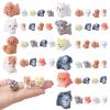 50 Pcs Mini Dog Figurines Miniature Resin Animals in Bulk Little Puppy Toys Dog Cake Decorations for DIY Moss Landscape Garden Ornament Birthday Party Home Decors view 1
