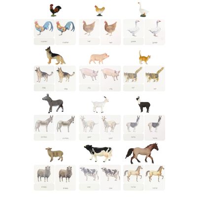 12pcs Farm Animal Replicas with Matching Montessori 3-Part Cards Language Learning Material