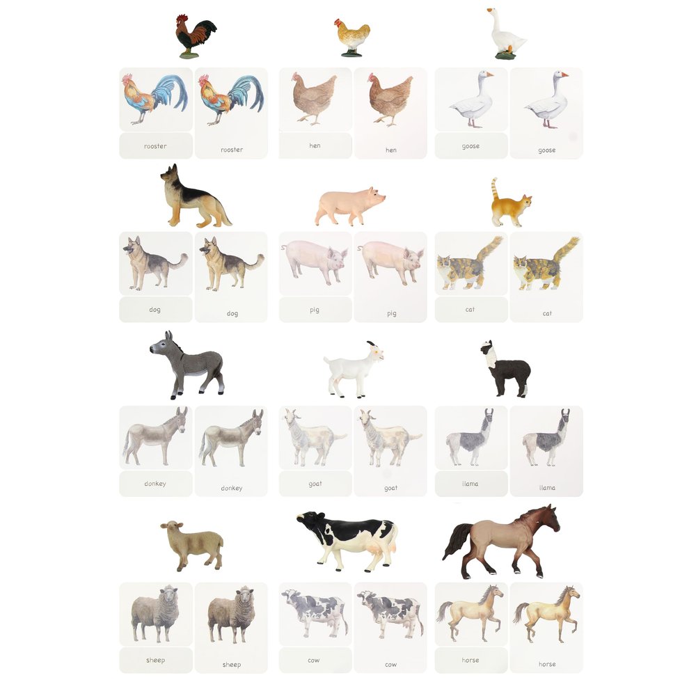 12pcs Farm Animal Replicas with Matching Montessori 3-Part Cards Language Learning Material