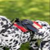LeMieux Toy Pony Appaloosa Dakota - Plaitable Two-Tone White & Black Mane - Super Soft Coat for Brushing & Playing - One Size view 3