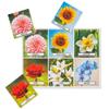 Assistex Matching Game Activity Board - Dementia Activities for Seniors - Memory Games for Adults with Alzheimers Dementia Jigsaw 24 Large Puzzle for Seniors view 4