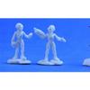 212 Main Bones Chronoscope Gray Alien Leaders Miniature Reaper view 1