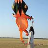 46Ft 3D Lizard Gecko Large Kite for Adult,Soft Inflatable Giant Kites Color Animal Fly Outdoor Sports Flying Kites view 2