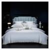 1000TC Egyptian Cotton Bedding Set 4pcs French Romantic Duvet Cover Set Flat Sheet Pillowcase Lace Bed Set for Adult,Bed Sheets view 1