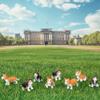 Accoutrements Archie McPhee Miniature Marvels: Itty Bitty Corgis - Adorable Miniature Dogs for Big Smiles and Funny Poses Bag of Eight, Brown view 3