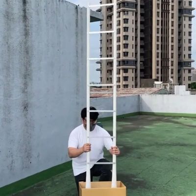 blue-ther Appearing Ladder Magic Tricks 2.5 Meters Long Ladder Appearing from Empty Box Bag Stage Street Illusions Gimmicks Mentalism Props