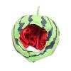 APLVFFZH Watermelon Costume Hat, Headgear Fruit Headwear for Masquerade Supplies view 2