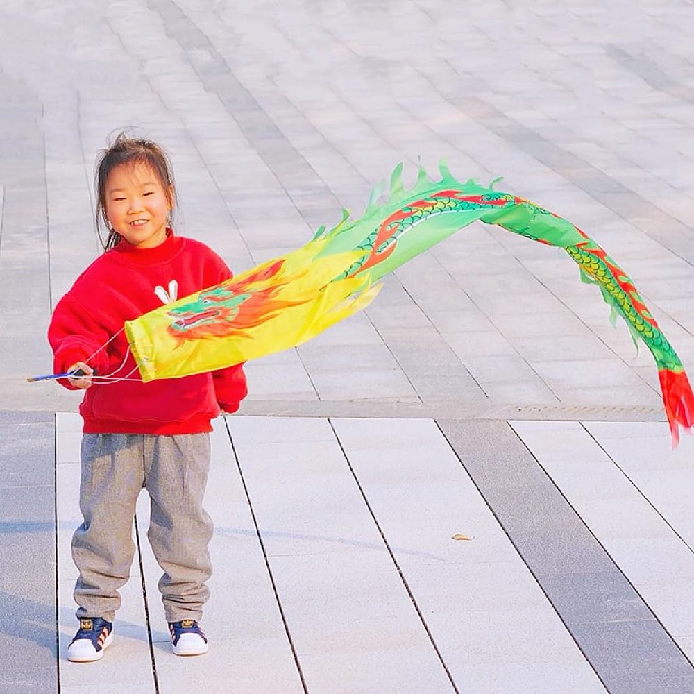 3D Flinging Dragon Dance Poi for Kids, Outdoor Exercise Cylinder-Shaped Dragon Ribbon Streamer with Fiberglass Wand Flowy Toy Set (Green Dragon, 9.8 FT(3 Meters))