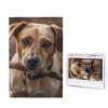 1000 Piece Jigsaw Puzzle - Tree Branch and Dog Picture Puzzles for Adults Challenging Puzzle Personalized Wooden Puzzle Photo Puzzle Gifts 29.5" X 19.7" view 1