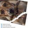 1000 Piece Jigsaw Puzzle - Tree Branch and Dog Picture Puzzles for Adults Challenging Puzzle Personalized Wooden Puzzle Photo Puzzle Gifts 29.5" X 19.7" view 3