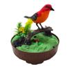 PowerTRC Singing & Chirping Bird in Cage, Realistic Sounds & Movements, Sound Activated Chirp (2 Sets) view 2