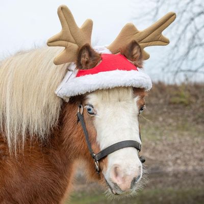Tough 1 Mini Horse Reindeer Hat