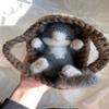 Fluffy Sleeping Kitten Dark Grey toy. Realistic Newborn Cat in the brown basket| crib. Crochet Handmade Gift for Toddlers. view 4