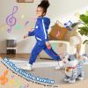 Gray Walking Cat Set Interactive Toy Cat for Girl Repeat What You Say Toy Kitten Talking Singing Dancing Touch Control Robot for Kid with Leash Wagging Tail Nodding Plush Electric Kitty view 4