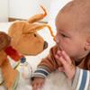 Active squirrel toy for children view 3