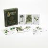 Botany: Tantalizing Trees Expansion | Family Strategy Game for Young Botanists and Adults | Ages 8+ | for 1-5 Players | Average Playtime 45-90 mins | Perfect for Family Game Night view 3