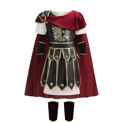 yolsun Boys Roman Soldier Costume Kids Warrior Knight Costume Brave Medievel Gladiator Halloween Cosplay9-10Y,Lion Shield