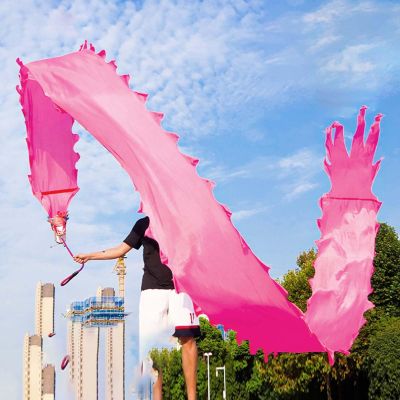 CMYUN Dragon Poi Adult Dragon Poi Dance Ribbon Colorful, Dancer Art Gym Silk Ribbon with Head, Portable Washable 3D Dragon Kite/Exercise Streamer, 6/8/10m (Color : Pink, Size : Length - 6m/19.5ft)