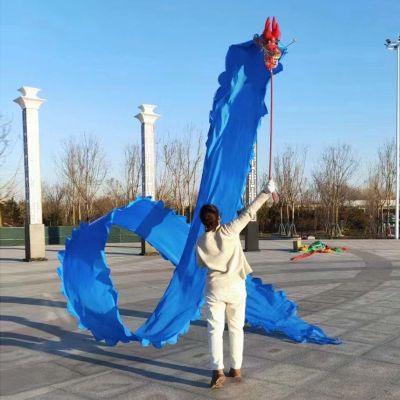 CMYUN Dragon Poi Adult Dragon Poi Dance Ribbon Colorful, Dancer Art Gym Silk Ribbon with Head, Portable Washable 3D Dragon Kite/Exercise Streamer, 6/8/10m (Color : Blue, Size : Length - 10m/33ft)