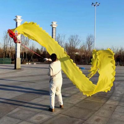 CMYUN Dragon Poi Adult Dragon Poi Dance Ribbon Colorful, Dancer Art Gym Silk Ribbon with Head, Portable Washable 3D Dragon Kite/Exercise Streamer, 6/8/10m (Color : Yellow, Size : Length - 8m/26ft)