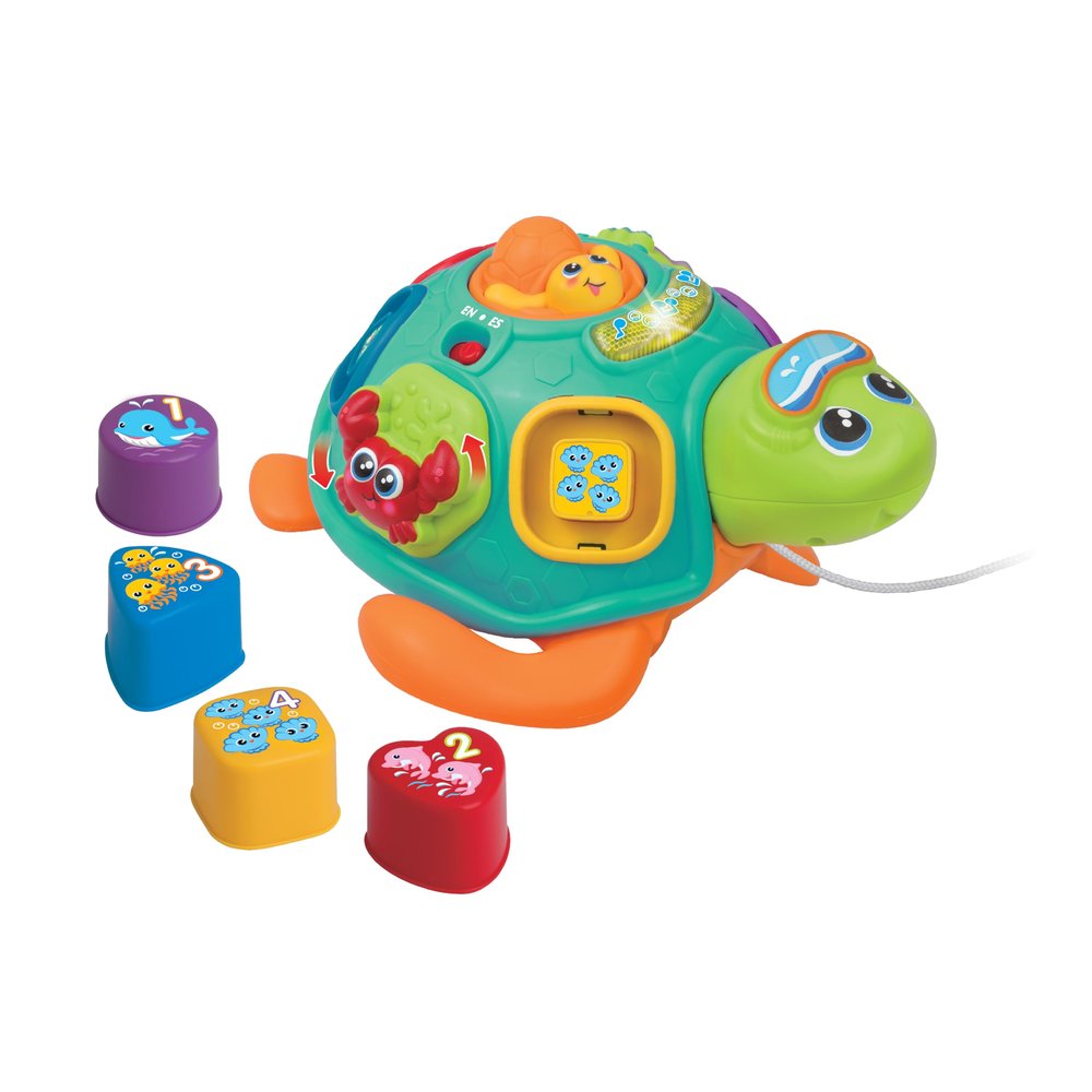 winfun Pull Along Sort 'n Learn Turtle  Shape Sorter Toy for Toddlers 12M+ with Lights, Sounds, Music, Quiz Game  Bilingual English/Spanish Educational Toy  Includes 4 Shapes & Batteries