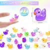 120Pcs Mini Resin Ducks Luminous Mini Ducks Glow in The Dark, Tiny Ducks to Hide, Little Ducks, Miniature Ducks for Garden Micro Landscape DIY Craft Accessories Ornament Charms Party Toys view 2