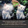 AP ARTSPER 2 Pack Night Glow Scratch Art Rainbow Painting Paper, Magic Glow-in-The-Dark Scraping, Van Gogh Style Creative Craft Set, Fun DIY Toy Sketch Card Scratchboard for Kids, Adults (Dog/Cat) view 4