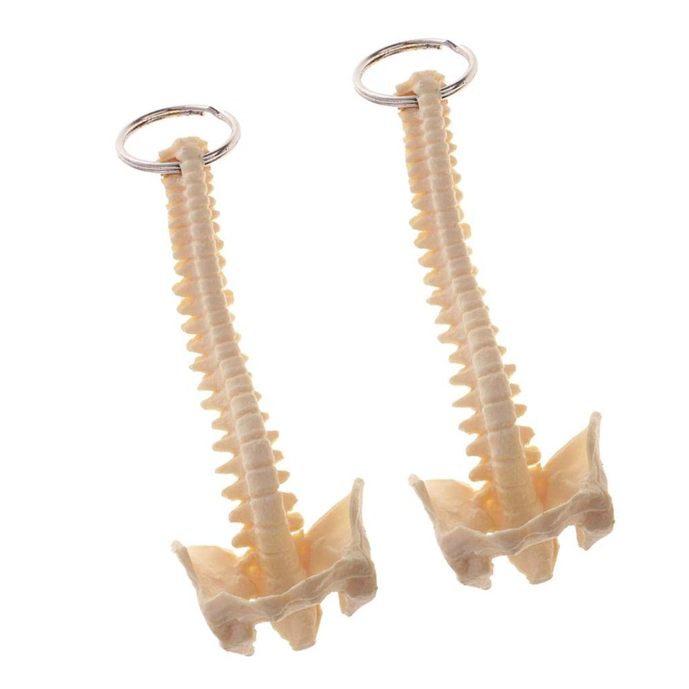 2X Mini Handcrafted Human Spine Skeleton Model Keychain School Teaching Aid