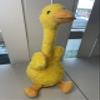 Besia Dancing Animal Mimicking Toy,Talking Repeat Singing Sunny Animal Toy 120 Pcs Songs for Baby 15S Record Your Sound Sing+Dancing+Recording+LED (Talking Yellow Duck) view 3