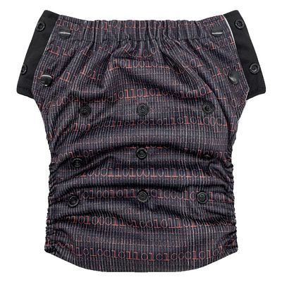 EcoAble Hybrid Cloth Diaper Reusable Potty Training Pants or Swim Diaper | Pull-On Style | Toddler to Big Kid 110 Years (Size 2, Coder)