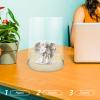 TOYANDONA Small Figure Doll Display Case Transparent Collectible Action Figure Dome Base for Storage and Showcase of Handicrafts and Figurines view 4