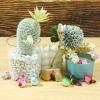 16 Pcs Miniature Bird Figurines - Mini Resin Birds Decorative for Dollhouse, Crafts & Garden view 4