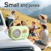 Mini Karaoke Machine,White Elephant Gifts,Stocking Stuffers for Teen, Christmas Gifts for 3-12+ Years Old, Portable Bluetooth Speaker with Wireless Microphone Kids Boys Girls-Green view 2