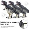 SAURAWAN T Rex Dinosaur Wind Up Toys for Toddlers, Novelty Easter Wind Up, Dino Toys for Kids 1-3 3-5 5-7, Easter Basket Stuffers, Jumping Tyrannosaurus Rex view 4